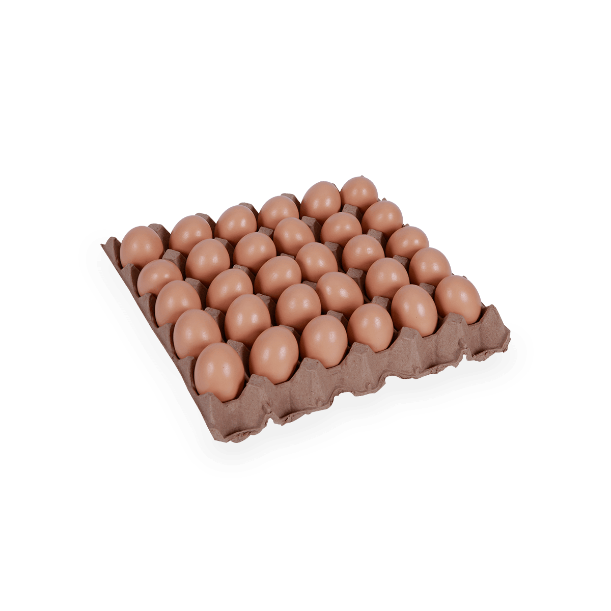 Tapa de cartón de huevos de plástico